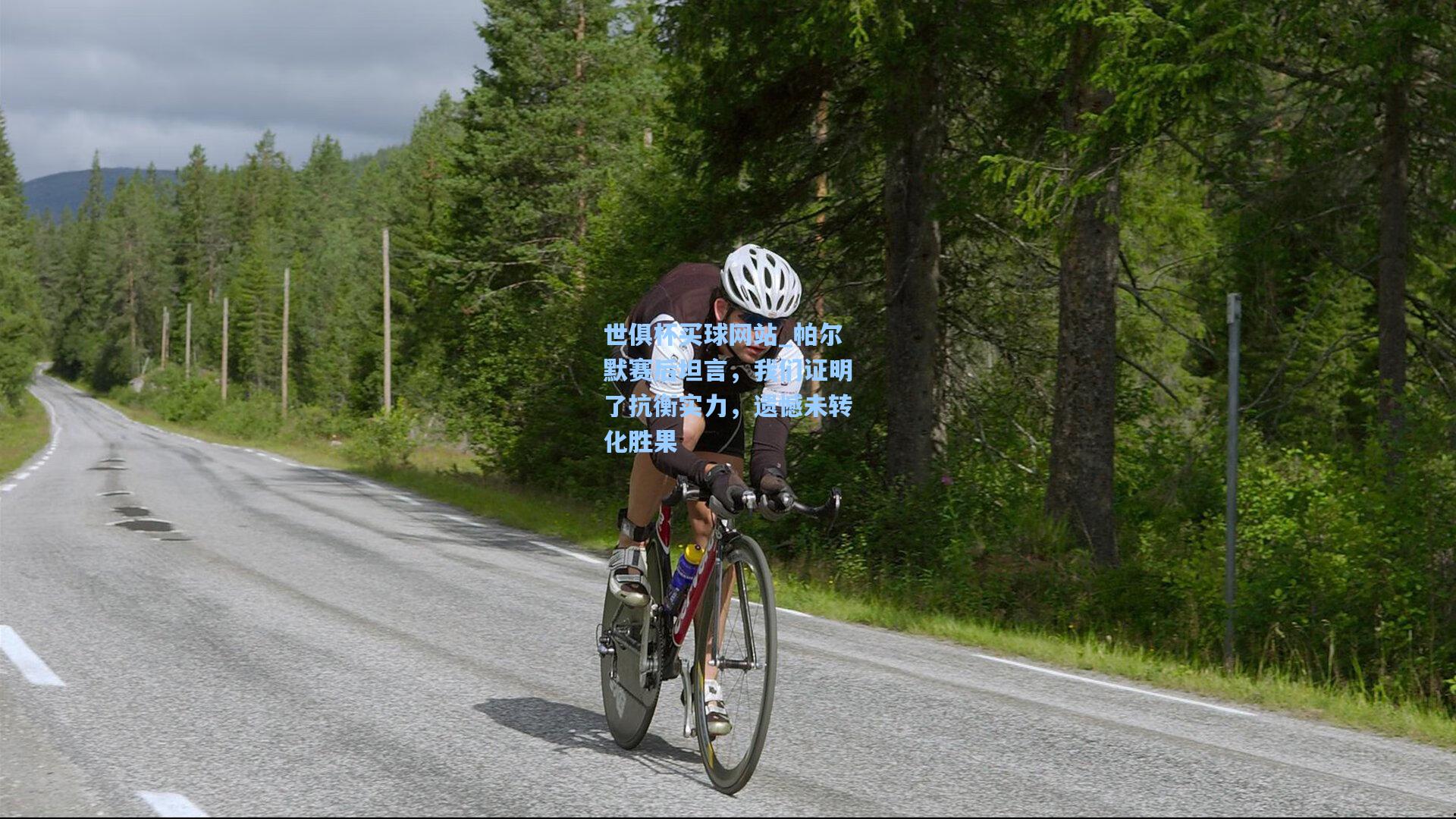 帕尔默赛后坦言，我们证明了抗衡实力，遗憾未转化胜果