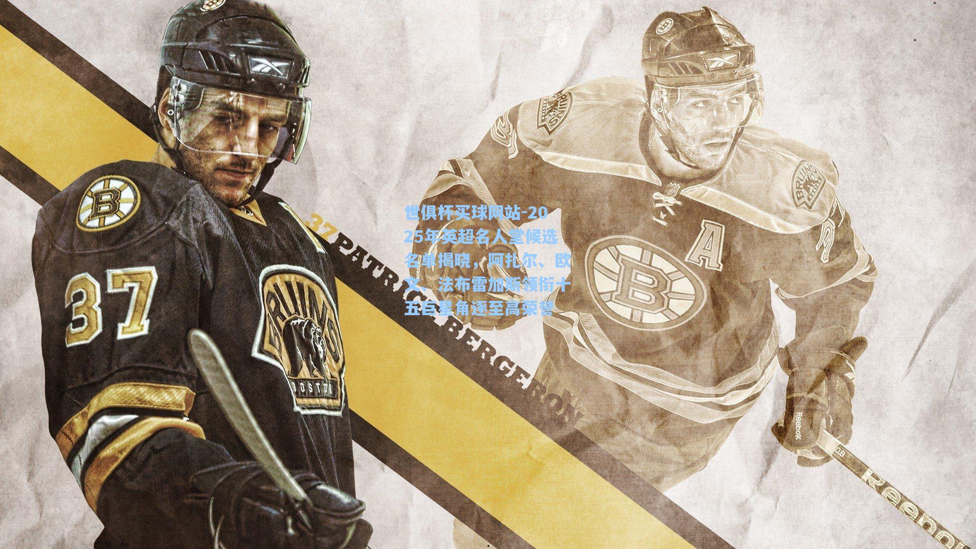 世俱杯买球网站-2025年英超名人堂候选名单揭晓，阿扎尔、欧文、法布雷加斯领衔十五巨星角逐至高荣誉